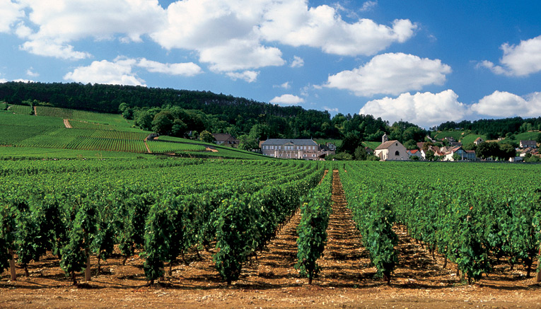 Bbui-burgundy-biking-7